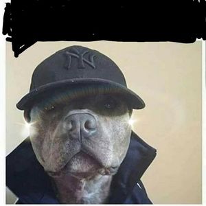 Meet your Posher, Jaffe